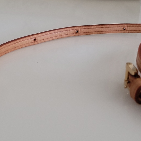 Authentic Louis Vuitton Strap For Walker! - Picture 7 of 10